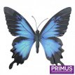 PA1653 Vlinder Blauw & zwart - 32 cm